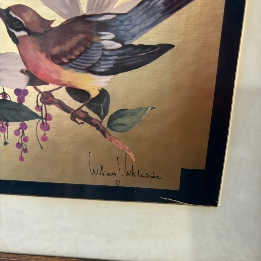 Vintage Birds on Dogwood Wall Art Brown Frame William Whiteside
